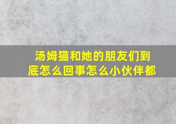 汤姆猫和她的朋友们到底怎么回事怎么小伙伴都