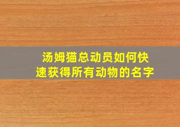 汤姆猫总动员如何快速获得所有动物的名字