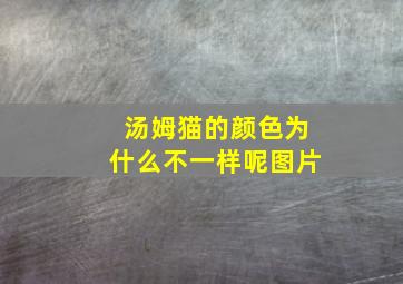 汤姆猫的颜色为什么不一样呢图片