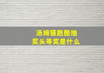 汤姆猫跑酷抽奖头等奖是什么