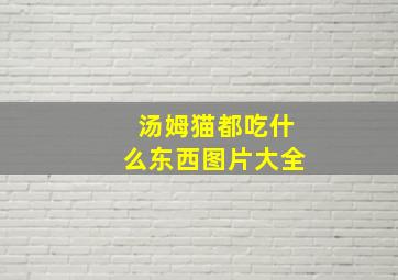 汤姆猫都吃什么东西图片大全