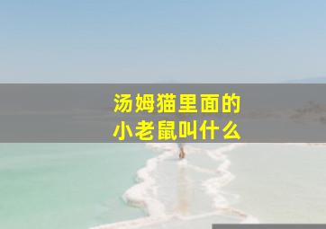 汤姆猫里面的小老鼠叫什么