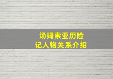 汤姆索亚历险记人物关系介绍