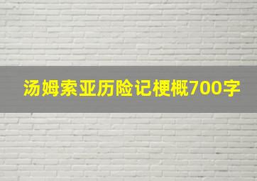 汤姆索亚历险记梗概700字