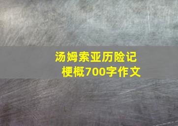 汤姆索亚历险记梗概700字作文