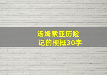 汤姆索亚历险记的梗概30字