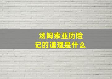 汤姆索亚历险记的道理是什么