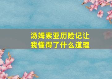 汤姆索亚历险记让我懂得了什么道理