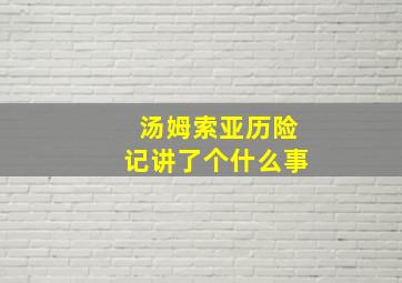 汤姆索亚历险记讲了个什么事