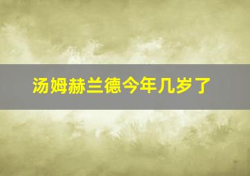 汤姆赫兰德今年几岁了