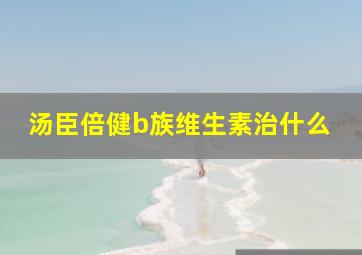 汤臣倍健b族维生素治什么