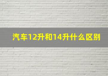 汽车12升和14升什么区别