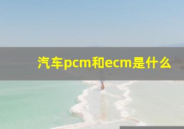 汽车pcm和ecm是什么