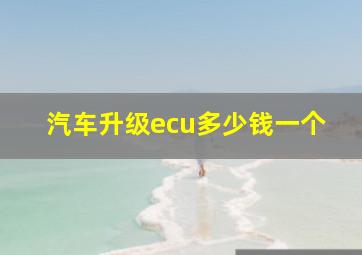 汽车升级ecu多少钱一个