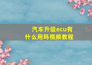 汽车升级ecu有什么用吗视频教程