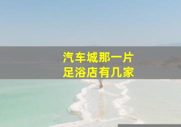 汽车城那一片足浴店有几家