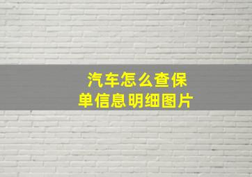 汽车怎么查保单信息明细图片