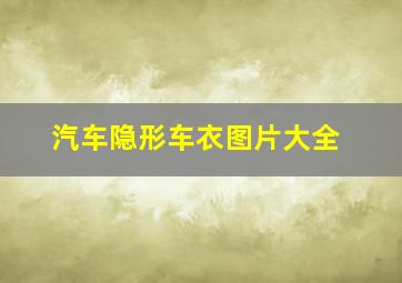 汽车隐形车衣图片大全