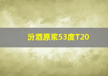 汾酒原浆53度T20