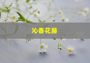 沁香花藤