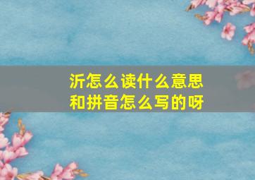 沂怎么读什么意思和拼音怎么写的呀