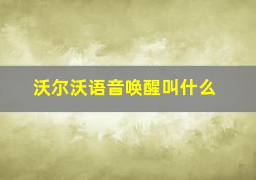 沃尔沃语音唤醒叫什么