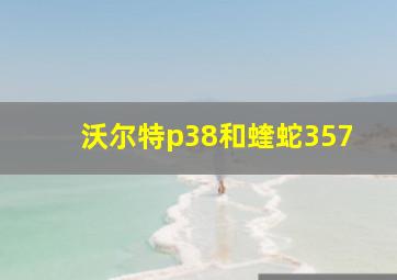 沃尔特p38和蝰蛇357