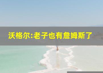 沃格尔:老子也有詹姆斯了