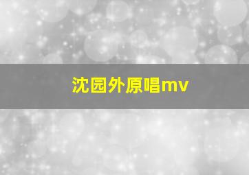 沈园外原唱mv