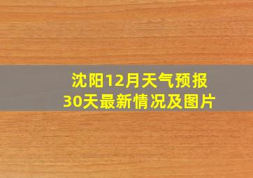 沈阳12月天气预报30天最新情况及图片