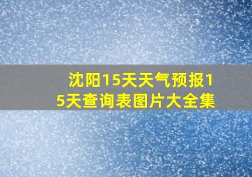 沈阳15天天气预报15天查询表图片大全集