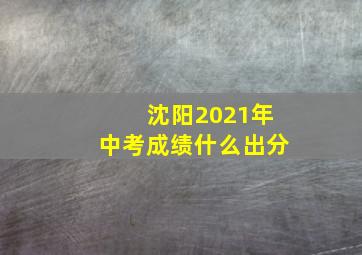 沈阳2021年中考成绩什么出分