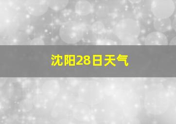 沈阳28日天气