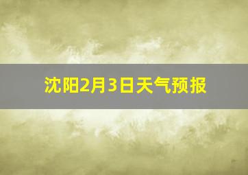 沈阳2月3日天气预报