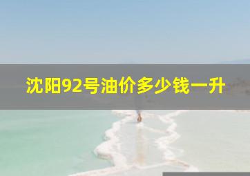 沈阳92号油价多少钱一升