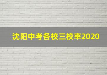 沈阳中考各校三校率2020