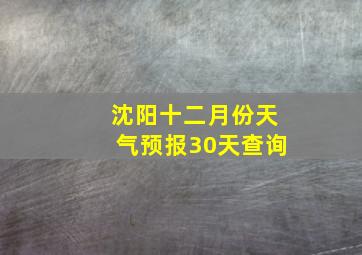 沈阳十二月份天气预报30天查询