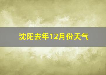 沈阳去年12月份天气