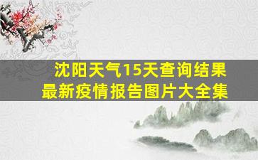 沈阳天气15天查询结果最新疫情报告图片大全集