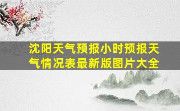 沈阳天气预报小时预报天气情况表最新版图片大全