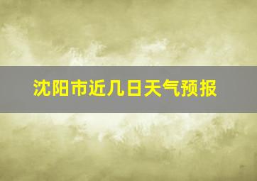 沈阳市近几日天气预报