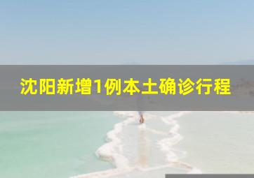 沈阳新增1例本土确诊行程