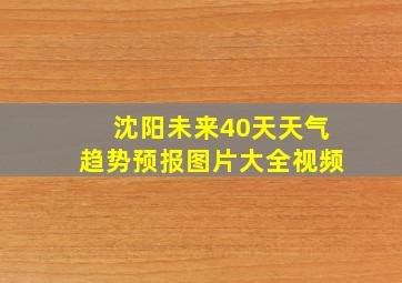 沈阳未来40天天气趋势预报图片大全视频