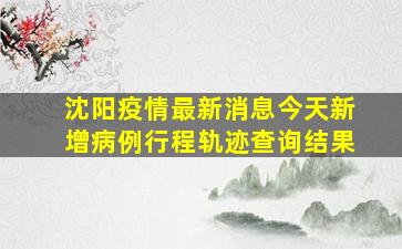 沈阳疫情最新消息今天新增病例行程轨迹查询结果