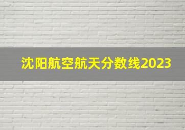 沈阳航空航天分数线2023