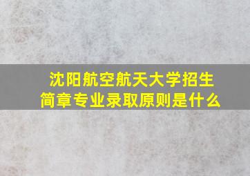 沈阳航空航天大学招生简章专业录取原则是什么