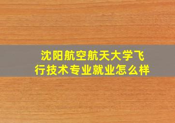 沈阳航空航天大学飞行技术专业就业怎么样