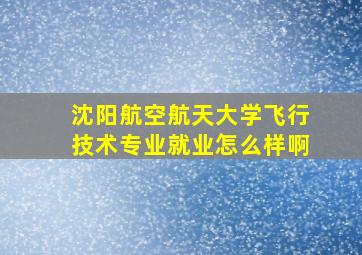 沈阳航空航天大学飞行技术专业就业怎么样啊