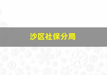 沙区社保分局