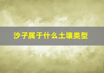 沙子属于什么土壤类型